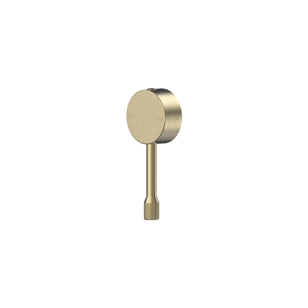 Leora Basin Mixer Handle - Brushed Gold [PVD]