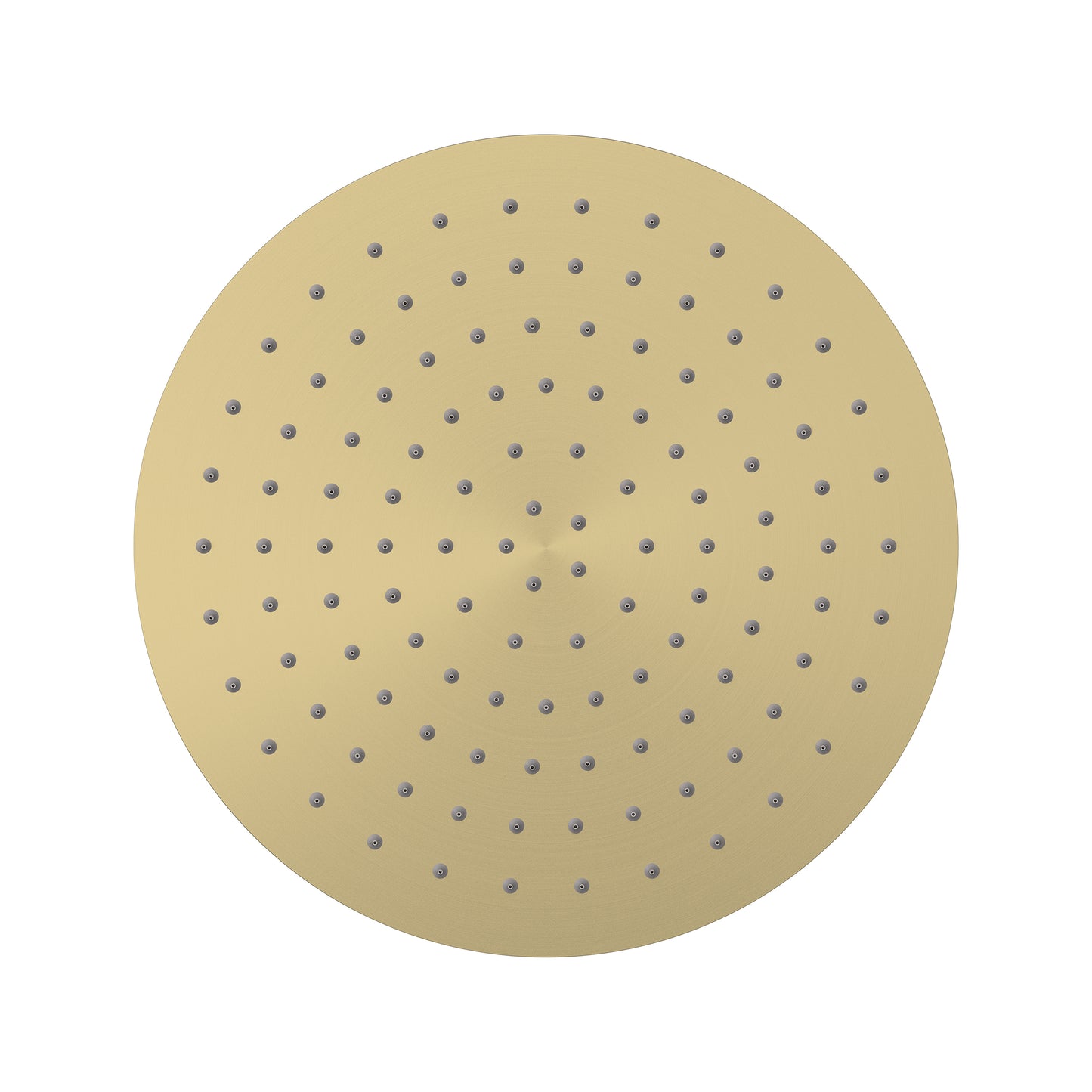 Elanna Rain Shower Head 300 Round - Brushed Gold [PVD]
