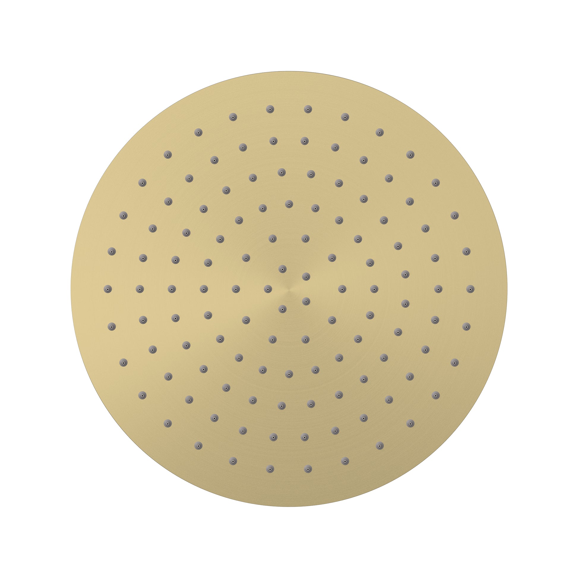 Elanna Rain Shower Head 300 Round - Brushed Gold [PVD]