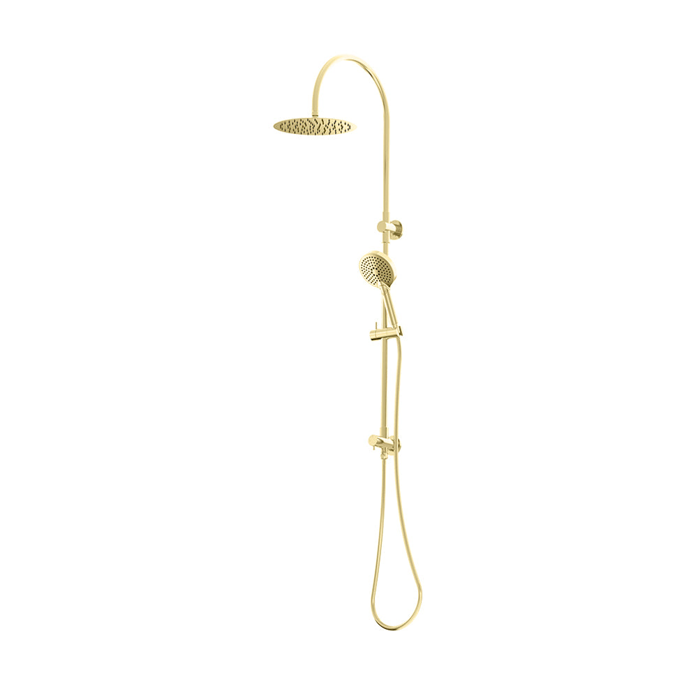 Elanna Combination Shower Set with Gooseneck Arm